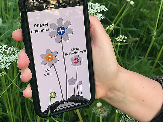 Bits & Chips: Flora incognita – Interaktive und automatische Pflanzenbestimmung mit dem Smartphone