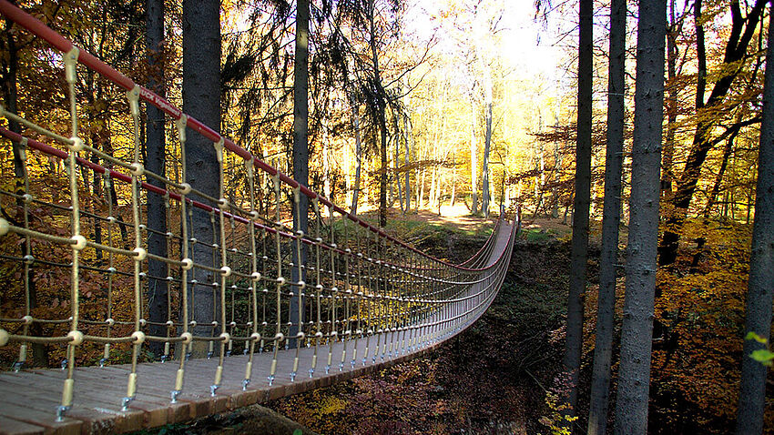 Hängebrücke im Binger Wald