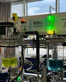 Ein Aufbau mit hellgrüner Flüssigkeit und grün leuchtender Lampe