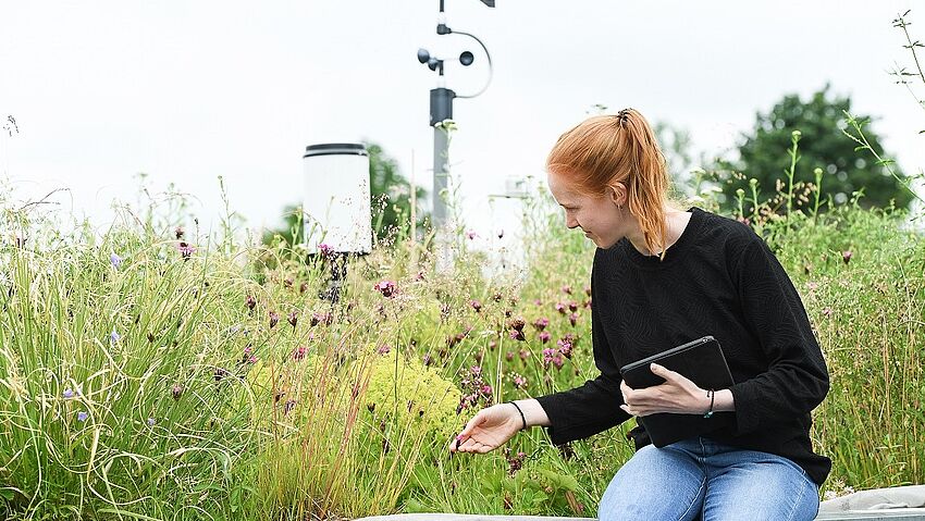 Studierende bieten Führungen an