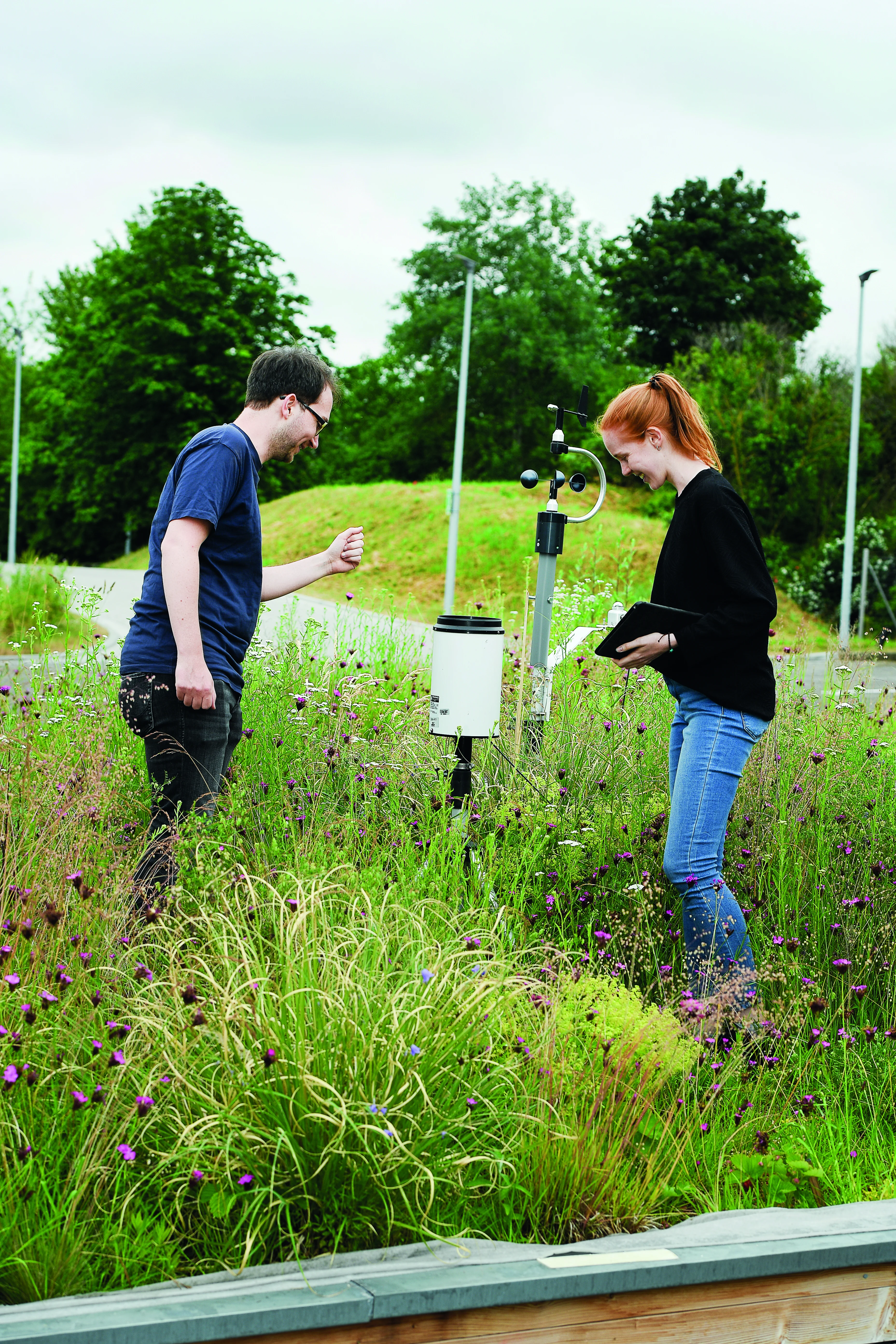 Zwei Studierende der TH Bingen am Modell für Dachbegrünung