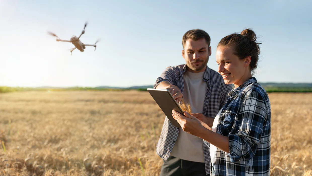 Zwei Personen mit Drohne auf einem Weizenfeld