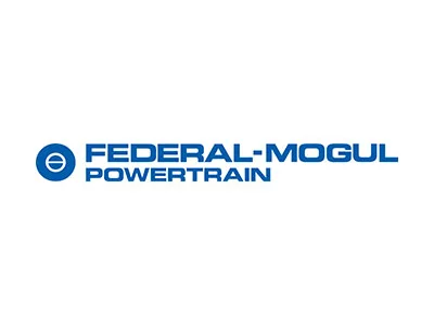 Federal Mogul Powertrain