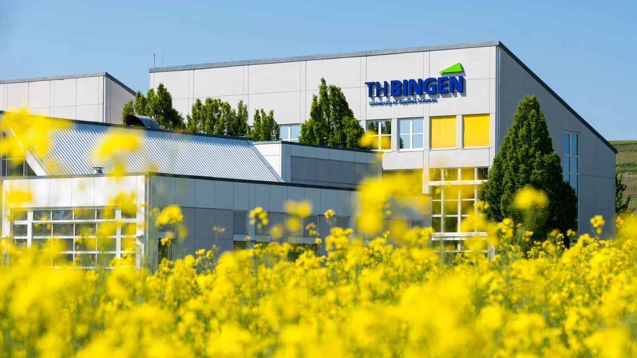 Gebäude der TH Bingen mit Rapsfeld