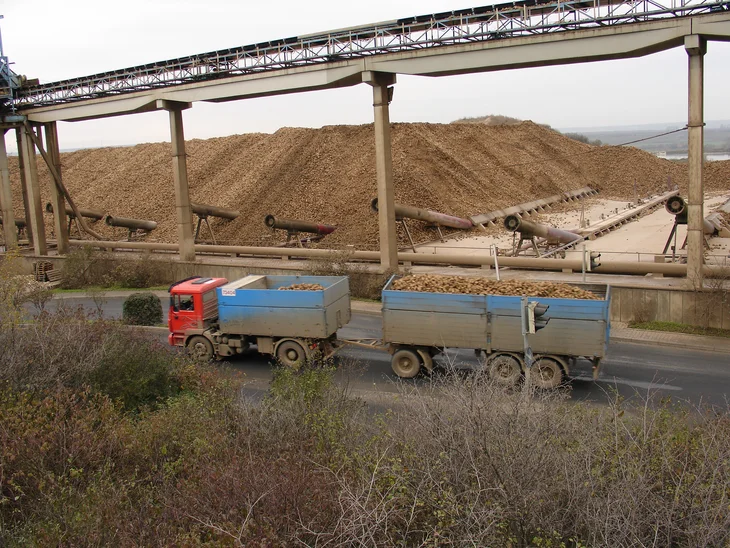 Landwirtin bei der Anlieferung von Zuckerrüben