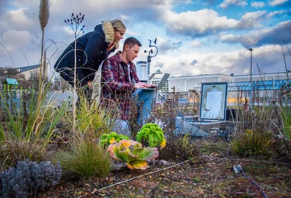 Das Bild zeigt zwei Studierende, die an der Dachbegrünung arbeiten