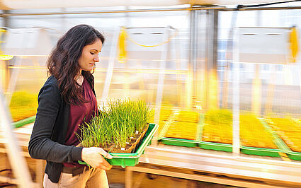 Agrarwirtschaft Agrarwirtschaft