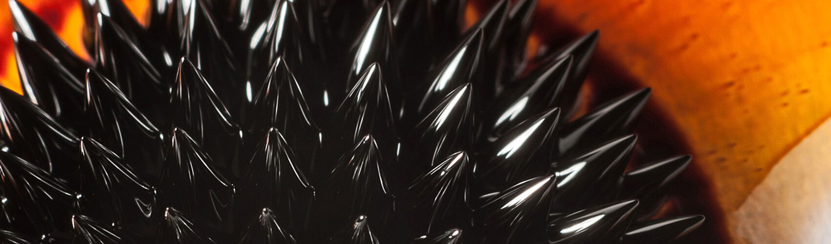 Die Teilchen eines Ferrofluides richten sich nach den Feldlinien eines magnetischen Feldes aus.