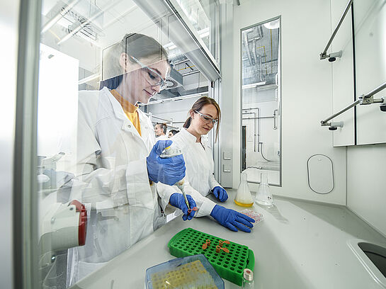 Technische Hochschule Bingen ist wichtiger Teil des geplanten „BioTech-Valley“