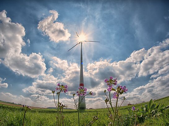 Ringvorlesung: Umweltschutz und Klimaschutz/-anpassung