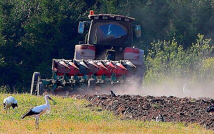 Landwirtschaft und Umwelt