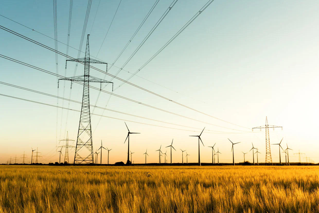 Strommasten, Kornfeld und Windräder im herbstlichen Gegenlicht 
