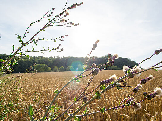 Naturschutztagung 2019