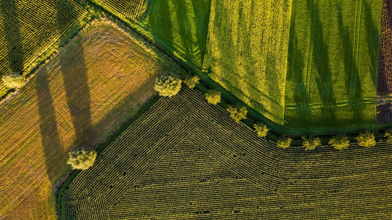 Landwirtschaftsfelder von oben