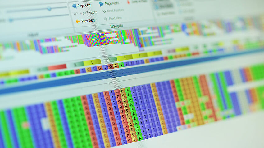 Angewandte Bioinformatik zukünftig auch als dualer Studiengang