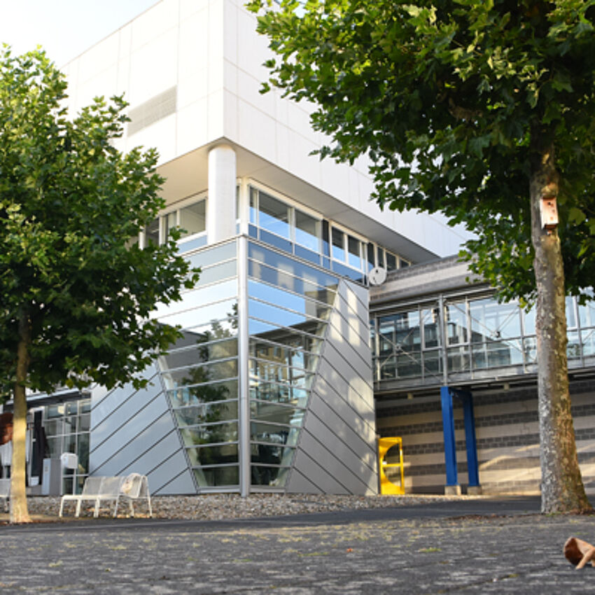 Einfluss von Stadtbäumen auf die Gebäudesensitivität gegenüber Wetterextremen Einfluss von Stadtbäumen auf die Gebäudesensitivität gegenüber Wetterextremen
