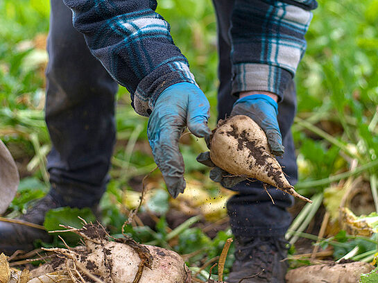 TH-Absolvent als Landwirt des Jahres nominiert