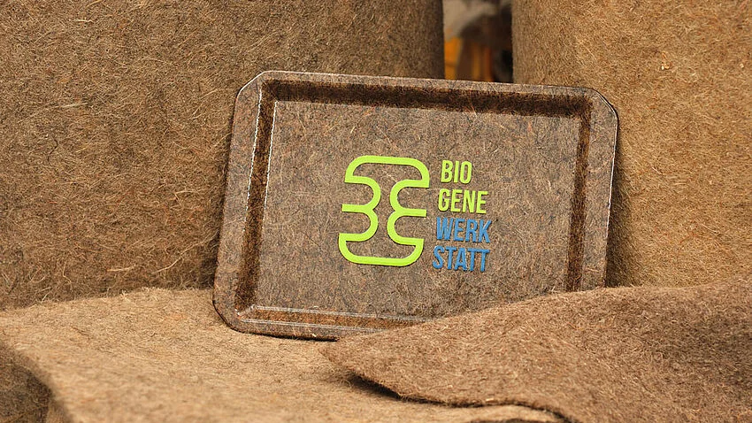 Das Bild zeigt ein biogenes Tablett.