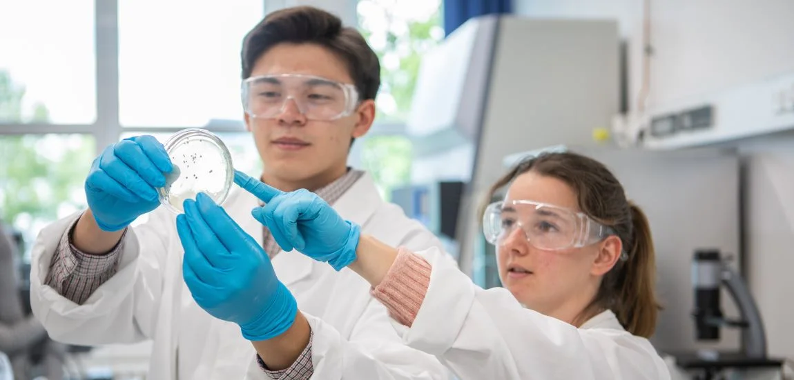 Zwei Studierende betrachten ihre Forschung