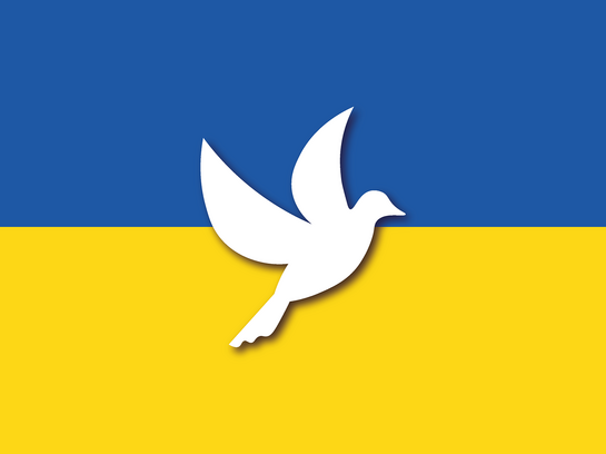 Ukraine-Konflikt: TH Bingen schließt sich Stellungnahme der HRK an