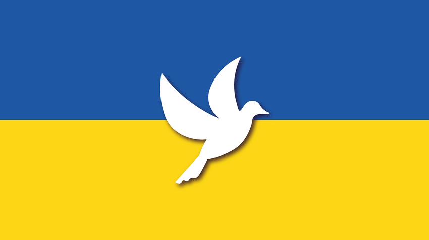 Ukraine-Konflikt: TH Bingen schließt sich Stellungnahme der HRK an