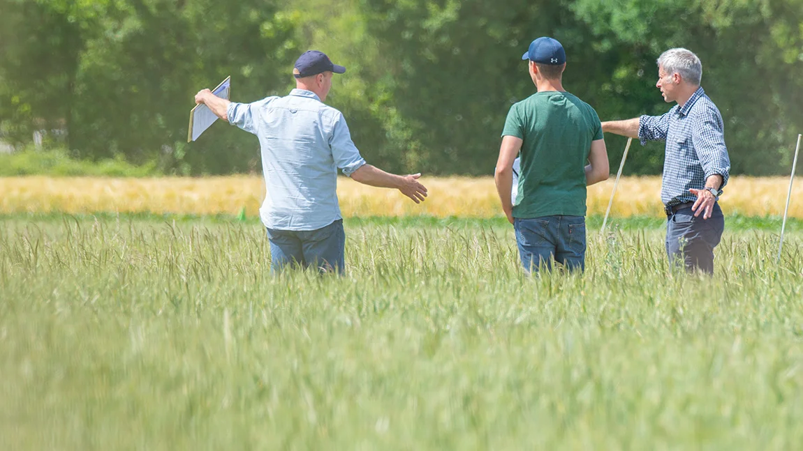 Menschen auf einem Pflanzenfeld
