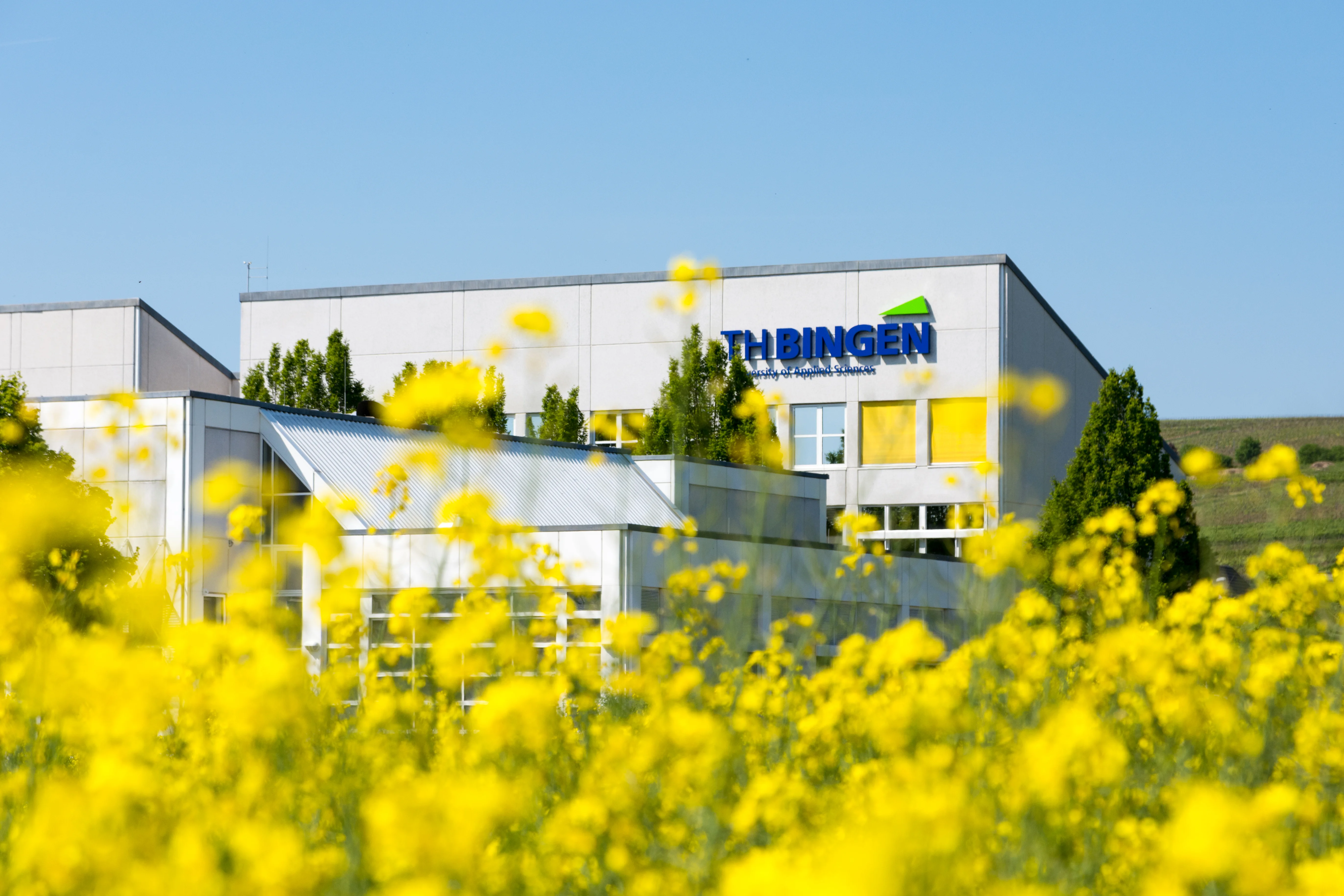 Hochschule mit Rapsfeld im Vordergrund
