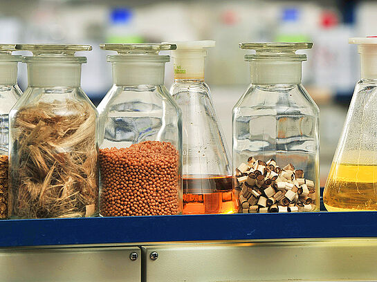 Forschungsseminar: Komponenten in biogenen Verbundwerkstoffen