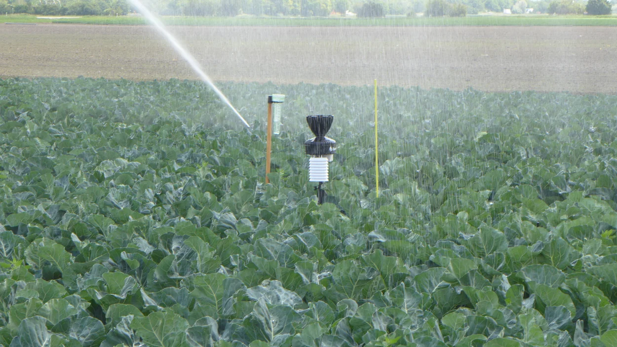 Wetterstation auf Blumenkohlfeld