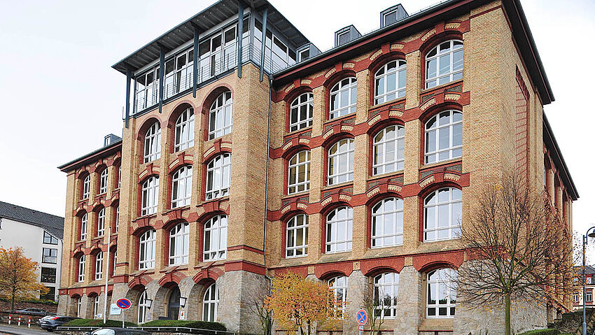 Bauarbeiten auf der Rochusallee Bauarbeiten auf der Rochusallee