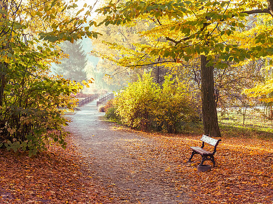 Walks & Talks: Goldener Oktober