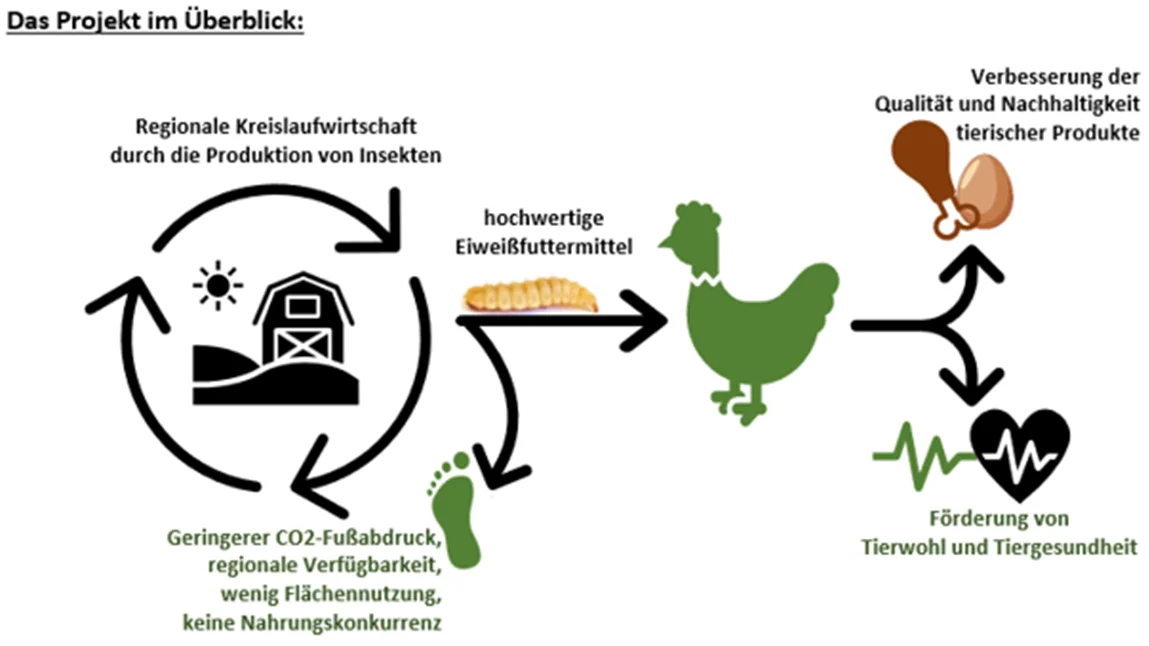 Kreislaufwirtschaft