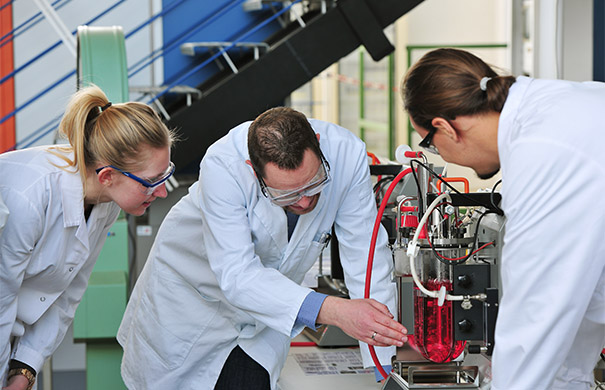 Studierende in der praktischen Arbeit mit ihrem Professor