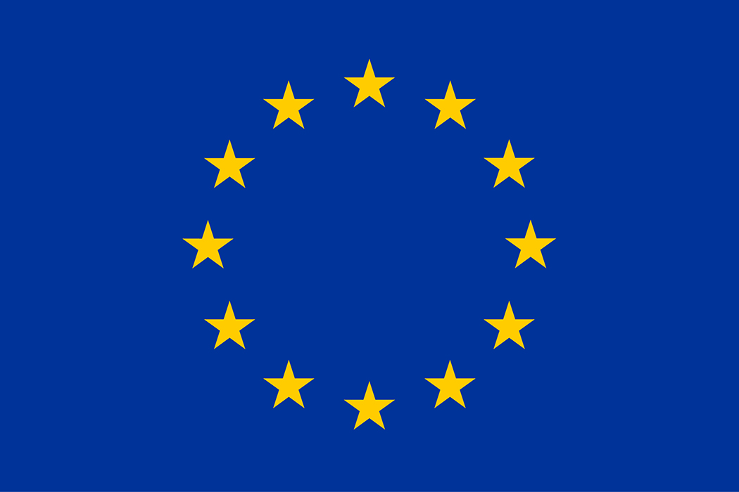 EU flag EU flag