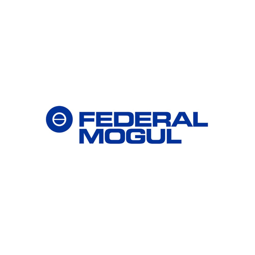Logo Federal Mogul  